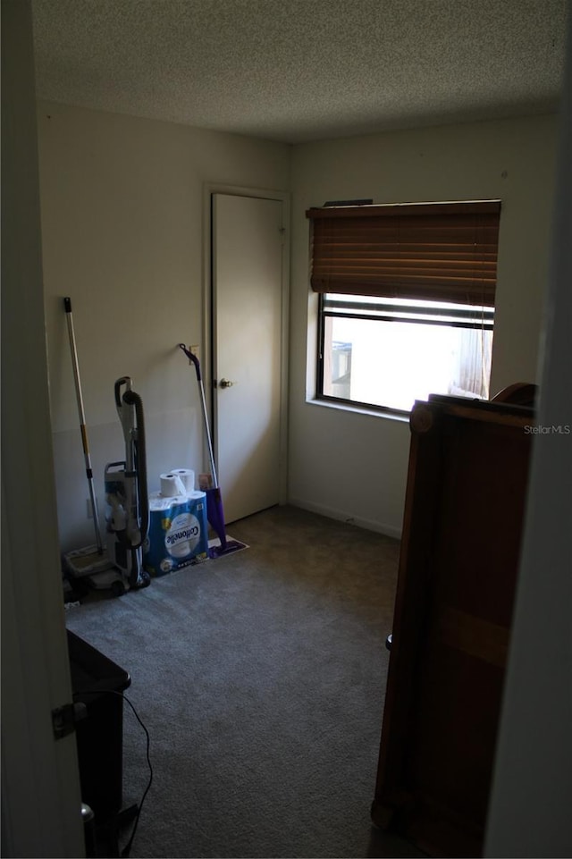 bedroom with carpet flooring and a textured ceiling