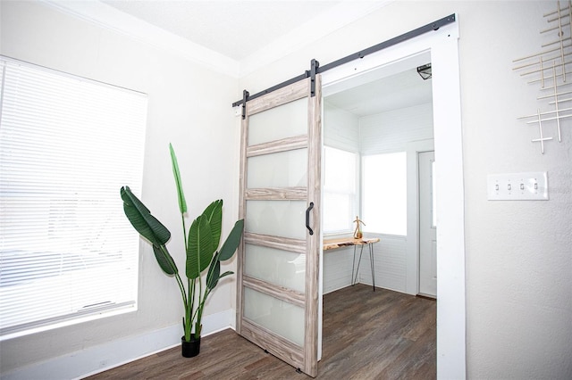 interior space with a barn door, dark hardwood / wood-style flooring, and crown molding