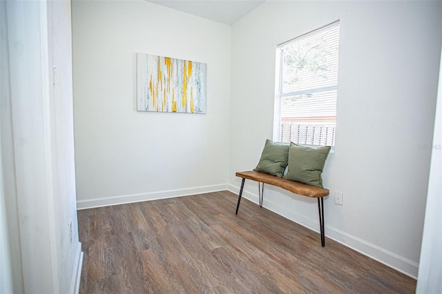 living area with dark hardwood / wood-style floors