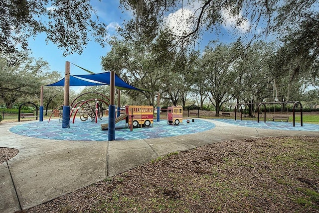 view of jungle gym