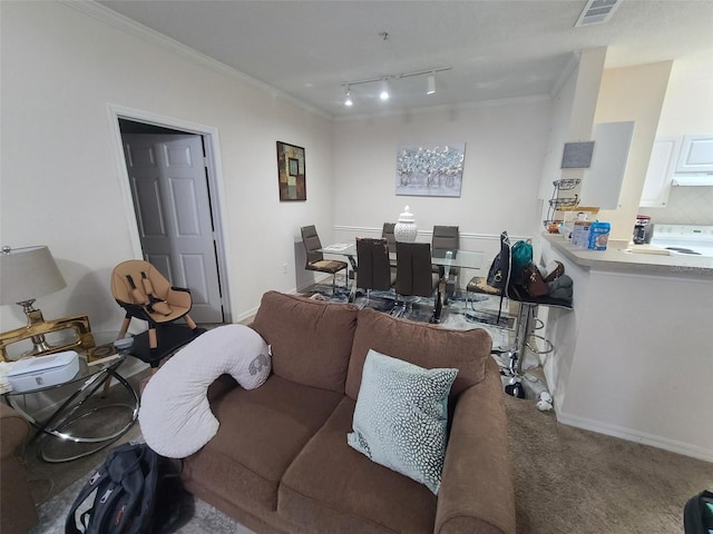 carpeted living room with crown molding and rail lighting