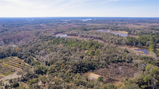 aerial view