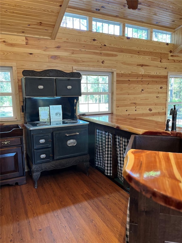 interior space featuring sink, wooden walls, hardwood / wood-style floors, and wooden ceiling