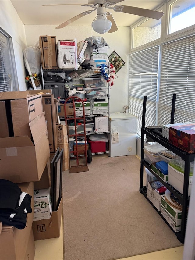 storage room featuring ceiling fan