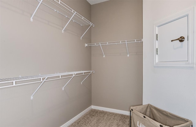 spacious closet with light carpet