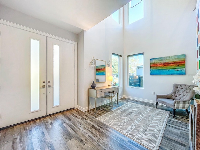 entrance foyer featuring french doors, baseboards, and wood finished floors