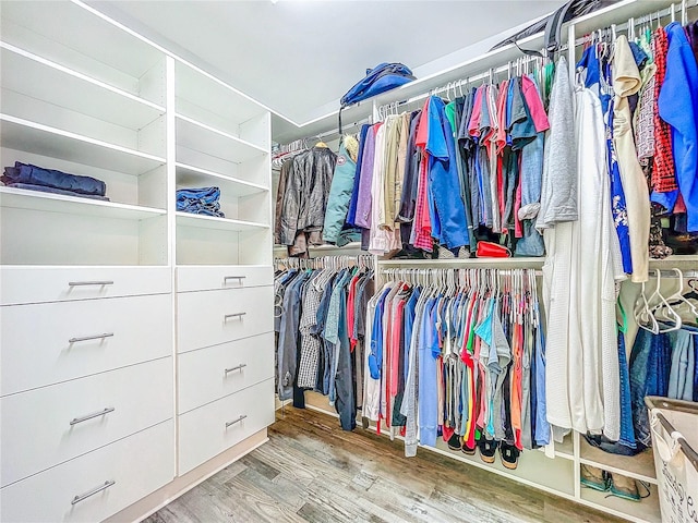 walk in closet featuring wood finished floors