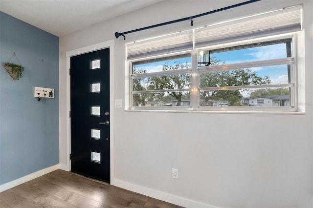 entryway featuring hardwood / wood-style flooring