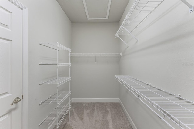 walk in closet featuring light colored carpet