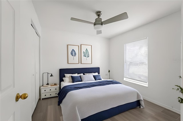 bedroom with hardwood / wood-style floors, ceiling fan, and a closet