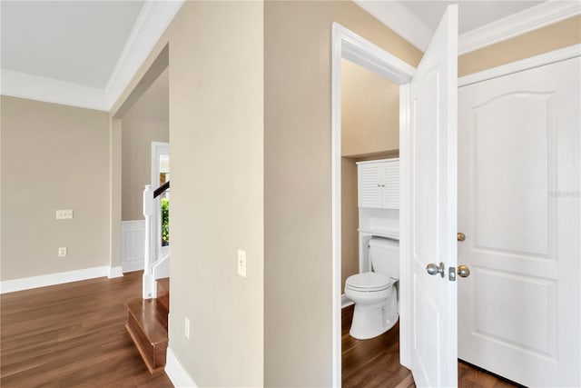 hall with crown molding and dark hardwood / wood-style floors