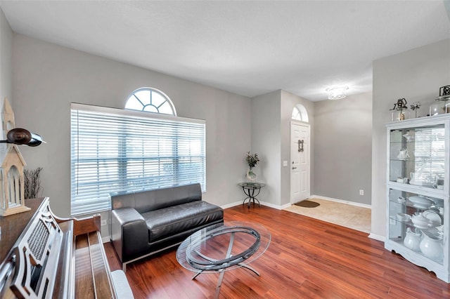 living room with wood-type flooring