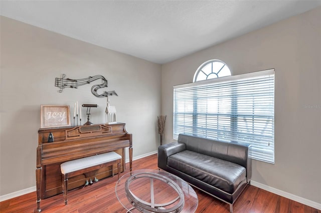 sitting room featuring hardwood / wood-style flooring