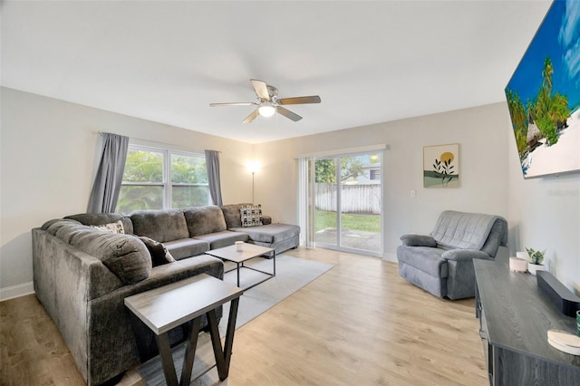 living room featuring a wealth of natural light, ceiling fan, and light wood-type flooring