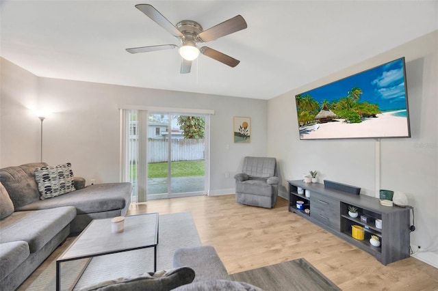 living room with ceiling fan and light wood-type flooring