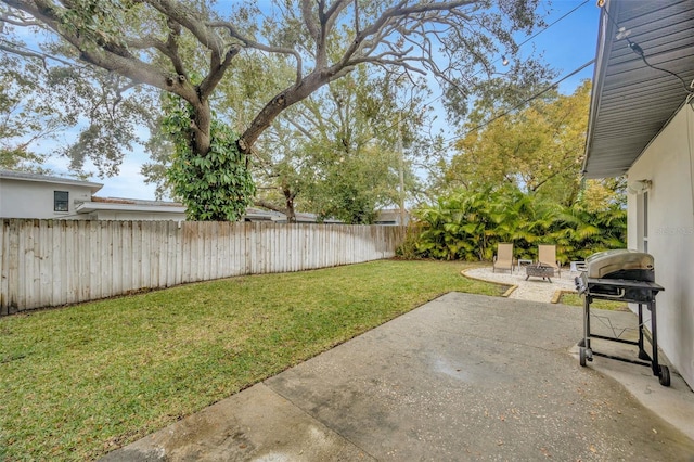 view of yard featuring a patio