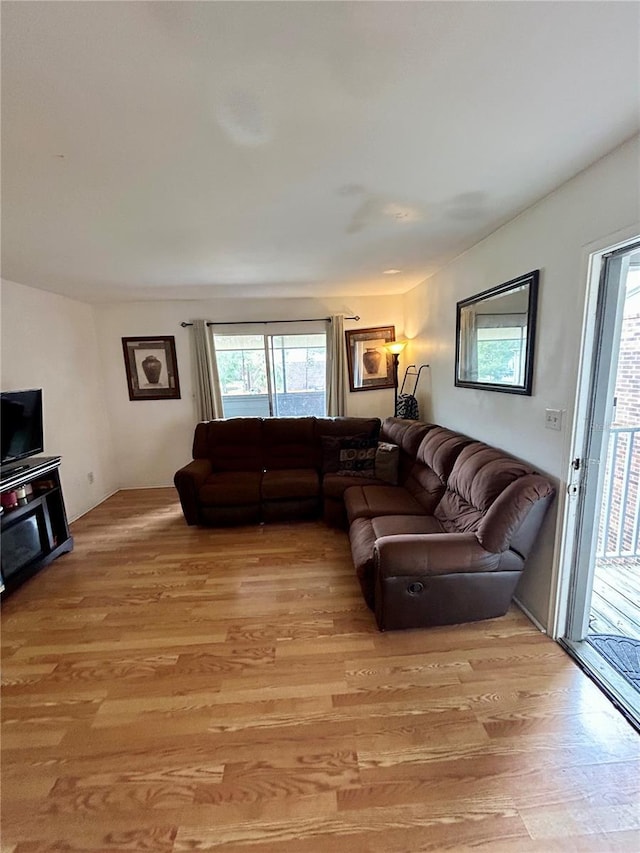 living room featuring light hardwood / wood-style floors and a healthy amount of sunlight