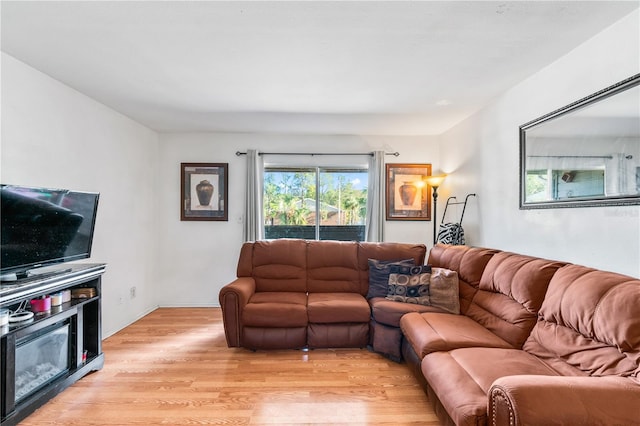 1400 Gandy Blvd N Unit 506, Saint Petersburg, FL 33702 - living room with a fireplace and light hardwood / wood-style floors
