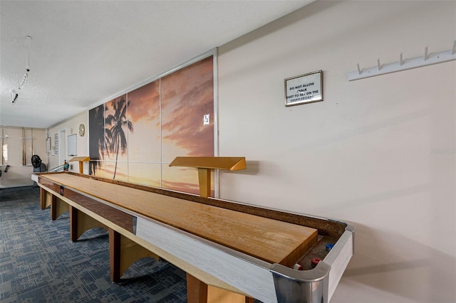 interior space featuring carpet and a textured ceiling