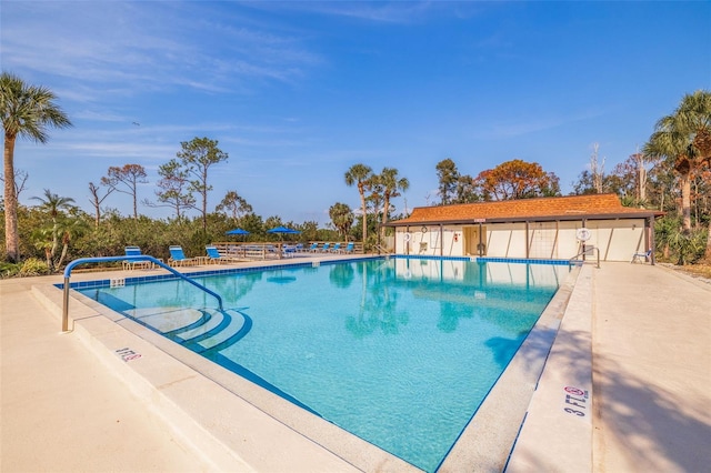 5400 Park St N Unit 209, Saint Petersburg, FL 33709 - community pool featuring a patio area