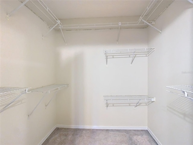 view of walk in closet