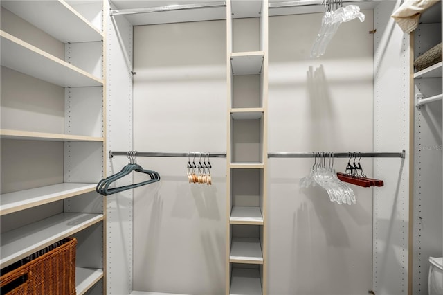 view of walk in closet