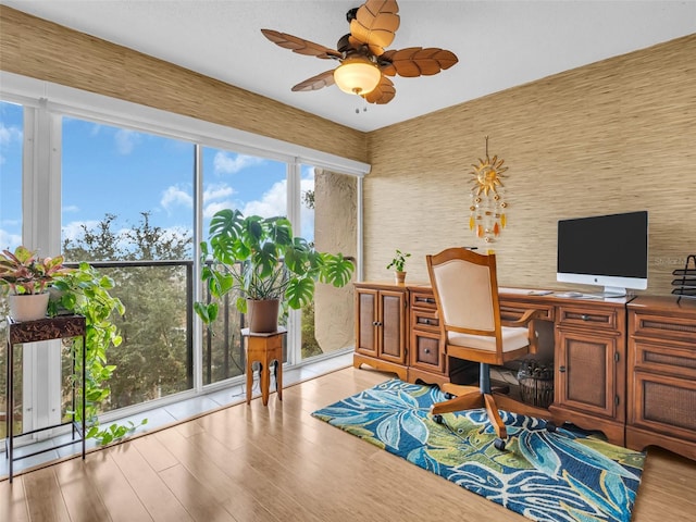 office featuring wood finished floors and a ceiling fan