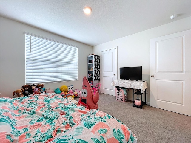 bedroom with carpet floors and a textured ceiling