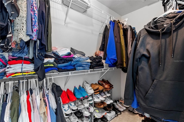 walk in closet featuring carpet flooring