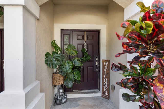 26614 Castleview Way, Wesley Chapel, FL 33544 - doorway to property featuring stucco siding
