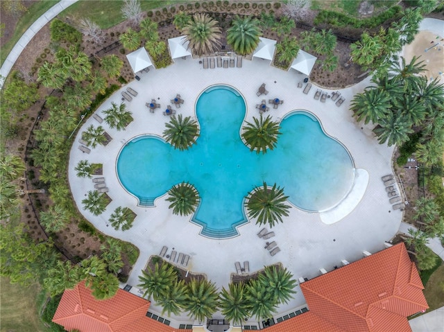 6216 Kevesta Ave, Palmetto, FL 34221 - bird's eye view of a pool area