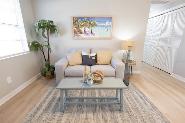 living room featuring hardwood / wood-style flooring