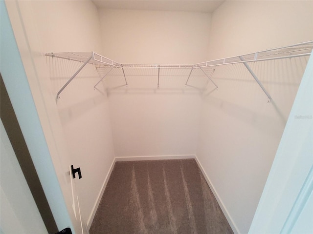 spacious closet with dark carpet