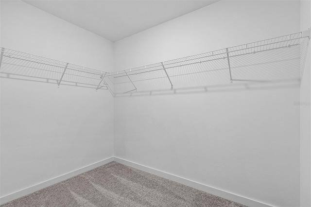 3560 Bellefonte Ave, North Port, FL 34286 - spacious closet with carpet flooring