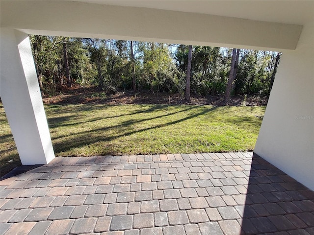 view of yard featuring a patio area