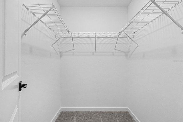 5237 Aberback St, North Port, FL 34291 - walk in closet featuring carpet flooring