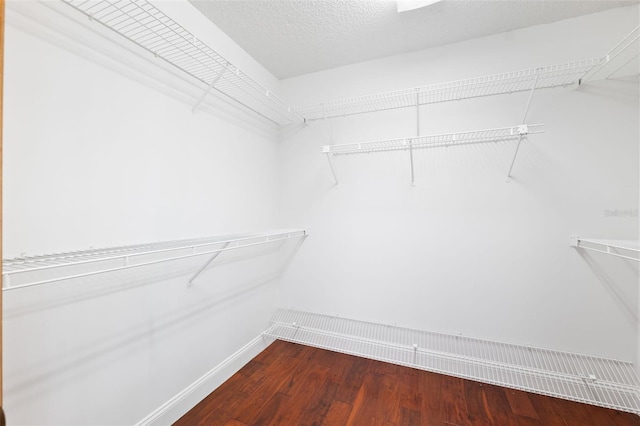 walk in closet featuring hardwood / wood-style flooring