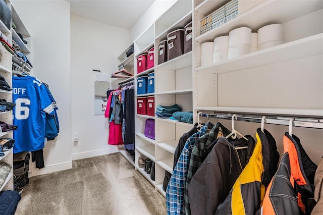 spacious closet featuring carpet