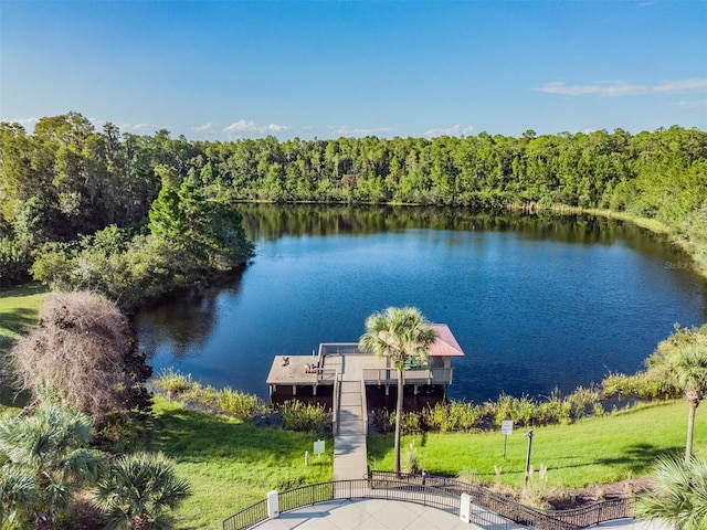 19724 Post Island Loop, Land O Lakes, FL 34638 - dock featuring a water view, a lawn, and a forest view