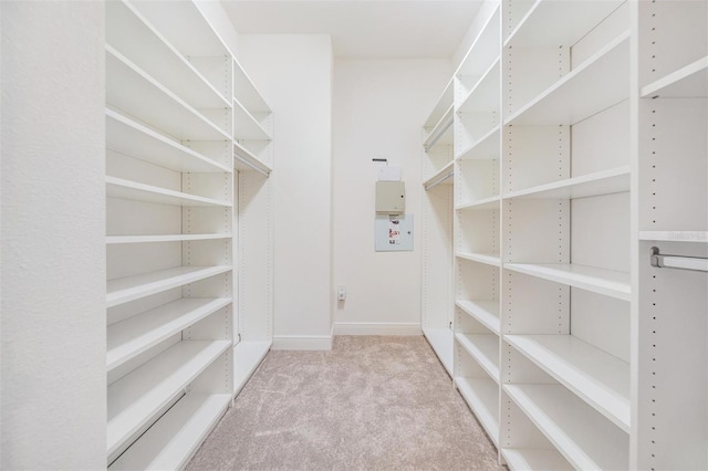 19724 Post Island Loop, Land O Lakes, FL 34638 - walk in closet with carpet