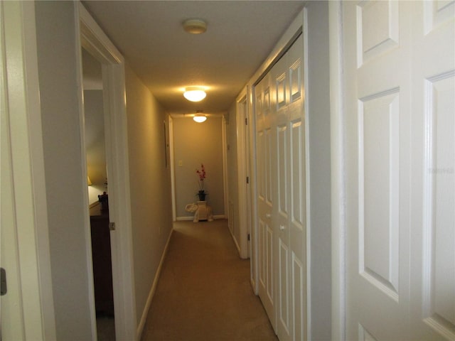 hall featuring carpet floors