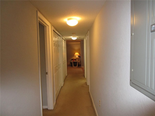 hallway with light carpet