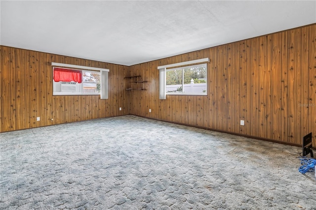 carpeted empty room with plenty of natural light