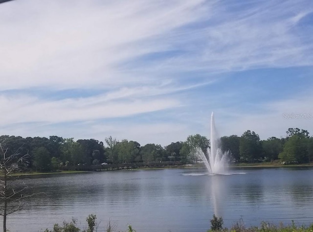 view of water feature