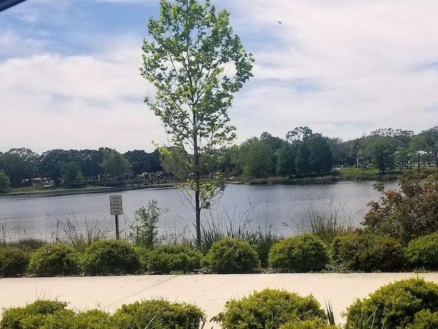 view of water feature