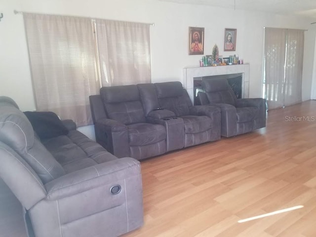 living room with hardwood / wood-style flooring