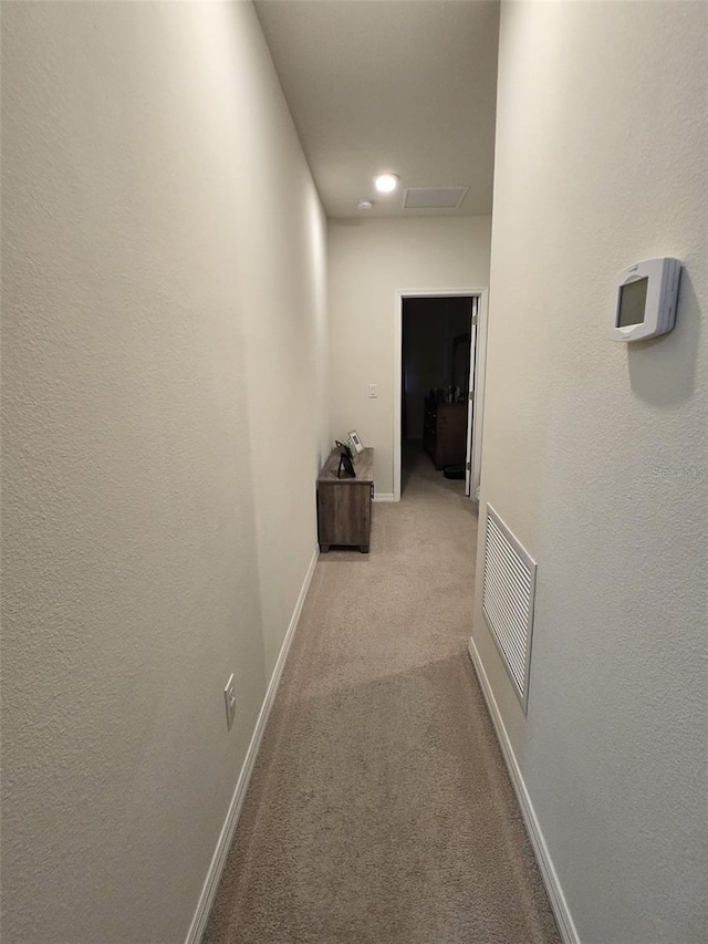 2878 Grand Kemerton Pl, Tampa, FL 33618 - corridor with light carpet