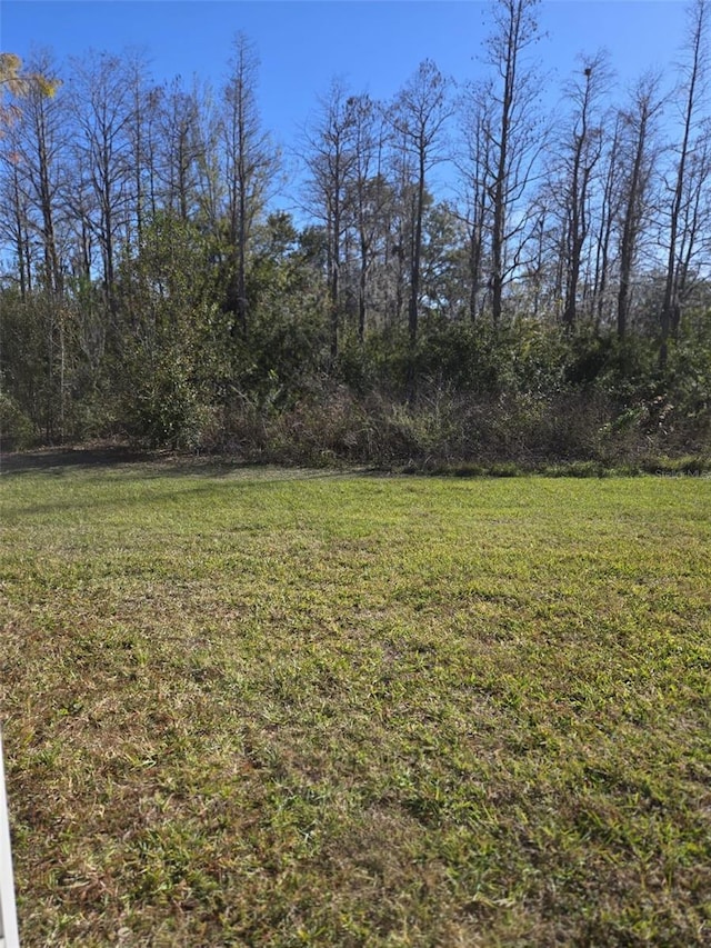 2878 Grand Kemerton Pl, Tampa, FL 33618 - view of yard