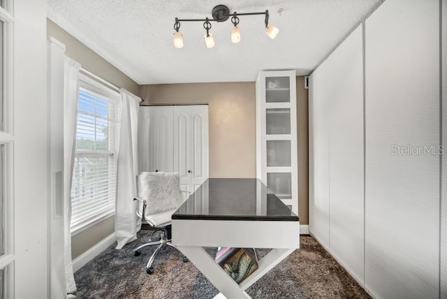 carpeted office space with a textured ceiling