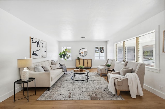 living room with wood-type flooring